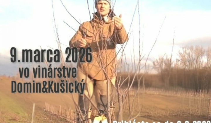 Fotka - Jarný rez stromov s Ľudom Vaššom